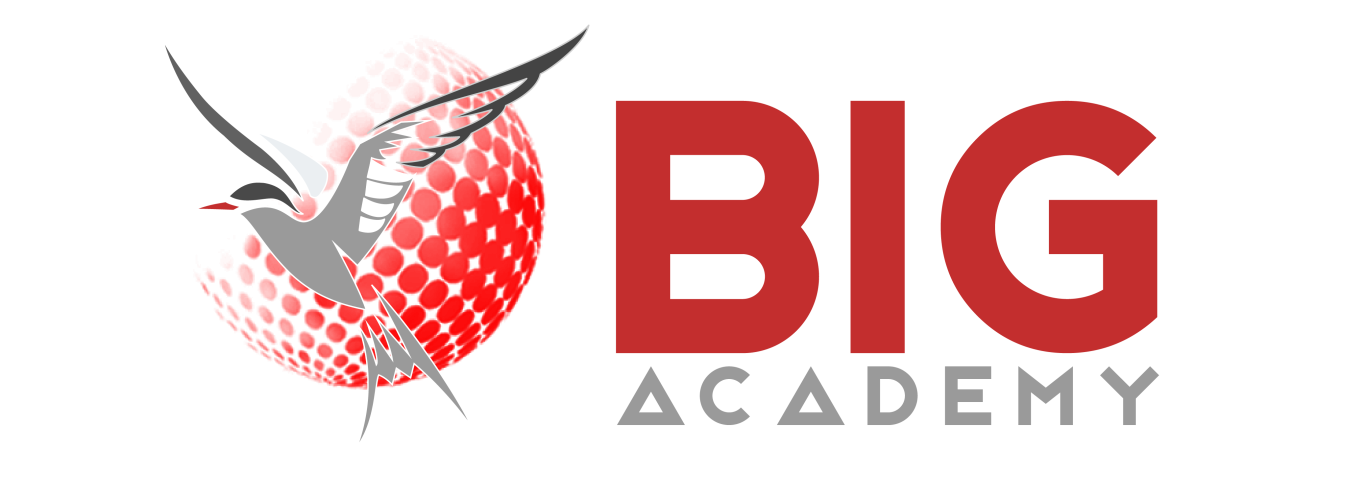 Big Academy